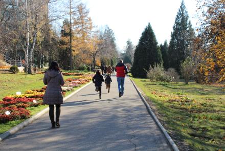 Photo représentant une famille se promenant dans un parc, les enfants courent