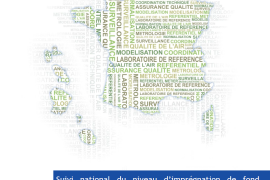 Suivi national du niveau d’imprégnation de fond des pesticides dans l’air ambiant : résultats 2021-2022