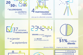 Infographie bilan de la campagne 2024 de surveillance des pollens.