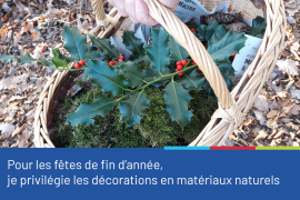 Photo d'un panier en osier posé sur un sol forestier et rempli de mousse et d'une branche de houx avec ses baies rouges. Sous la photo figure le conseil "Pour les fêtes de fin d'année, je privilégie les décorations en matériaux naturels".