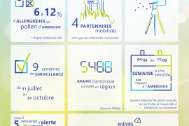 Surveillance de l'ambroisie en BFC - Bilan 2023