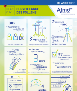 Visuel de l'infographie bilan