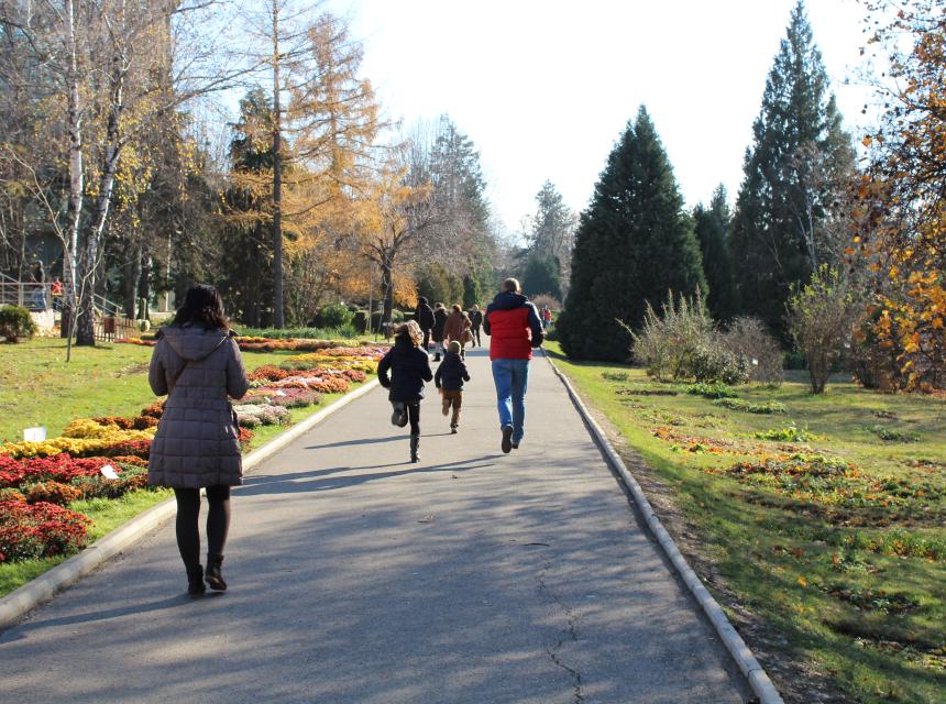 Photo représentant une famille se promenant dans un parc, les enfants courent